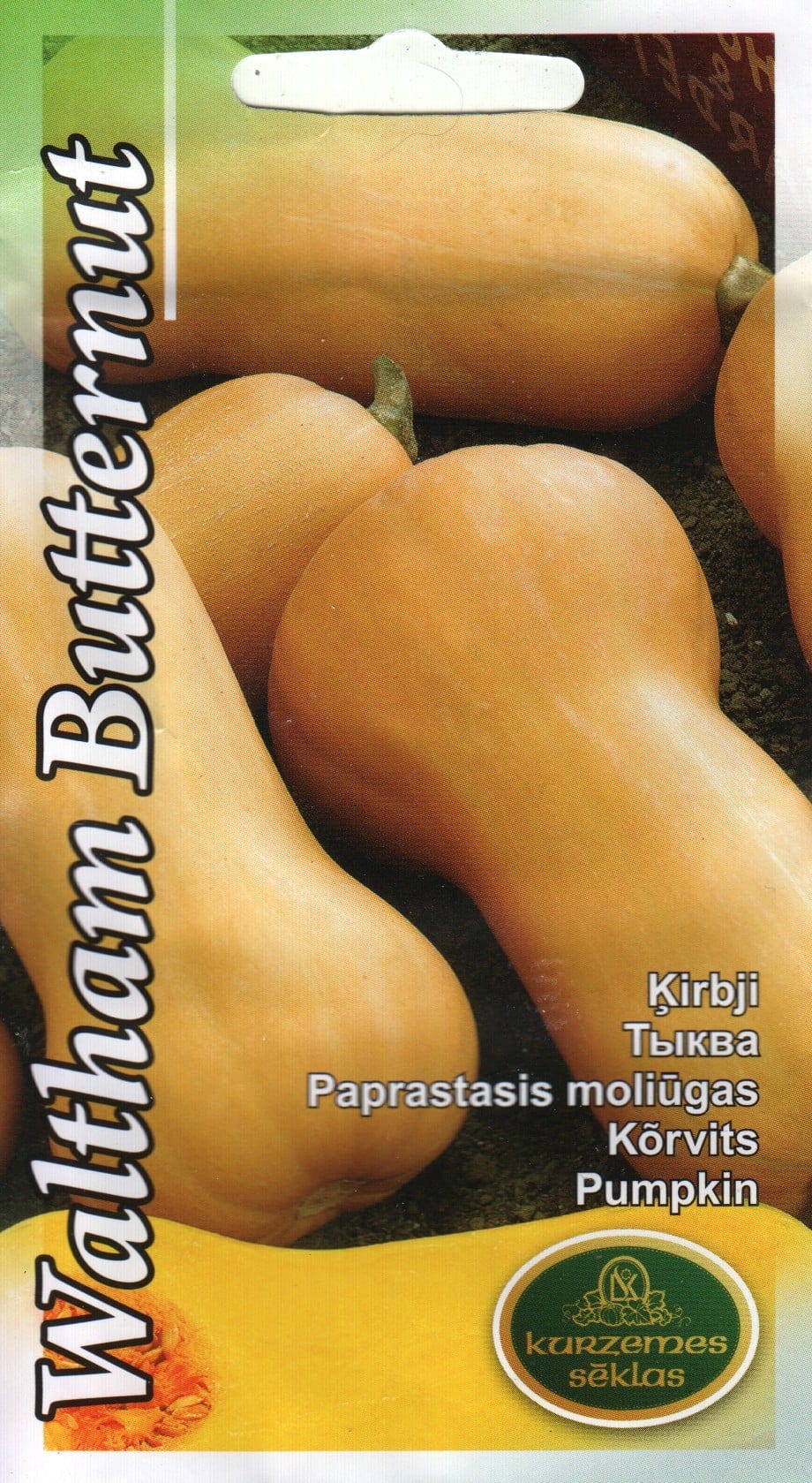 Muskaatkõrvits "Waltham Butternut"