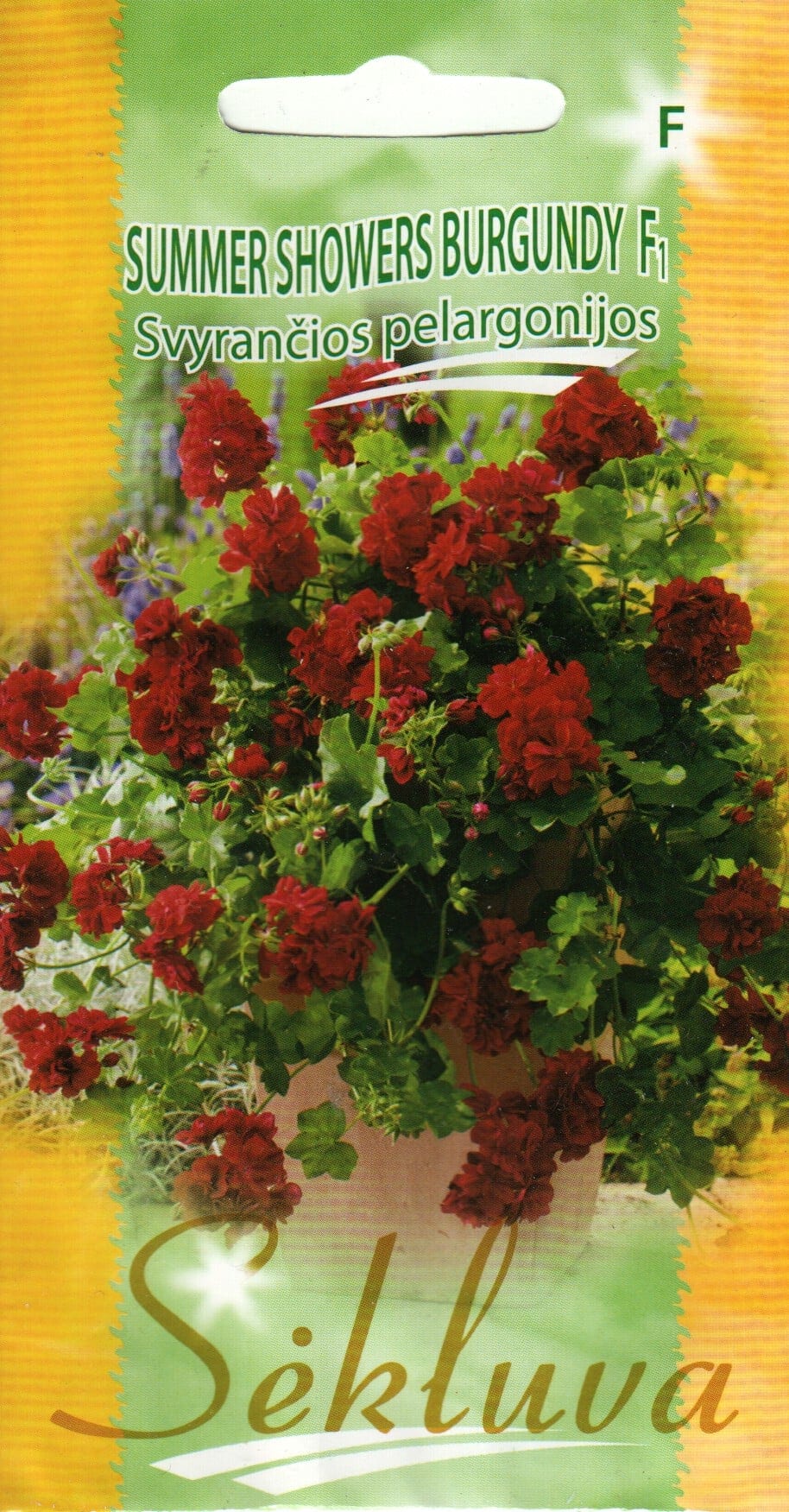 Luuderohulehine pelargoon "Summer Showers Burgundy" F1