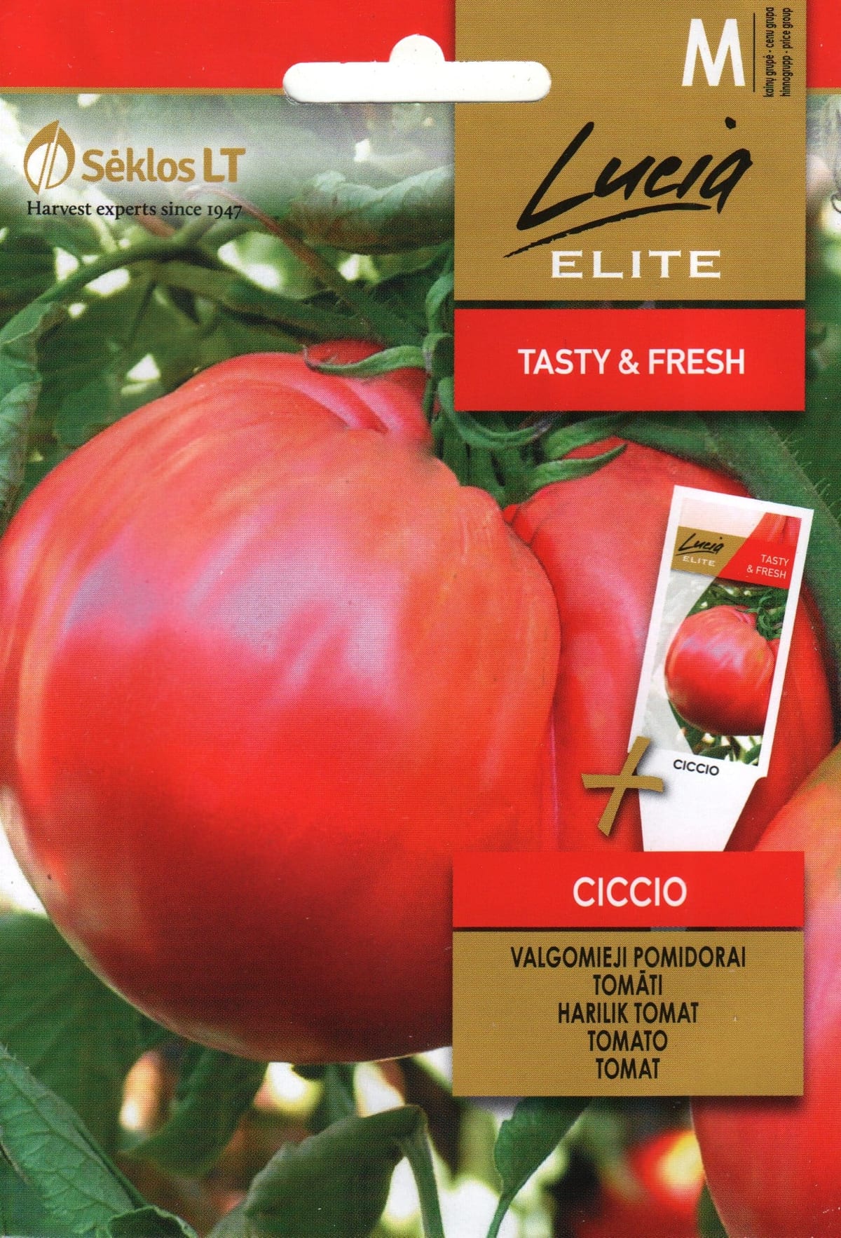 Tomat "Ciccio"