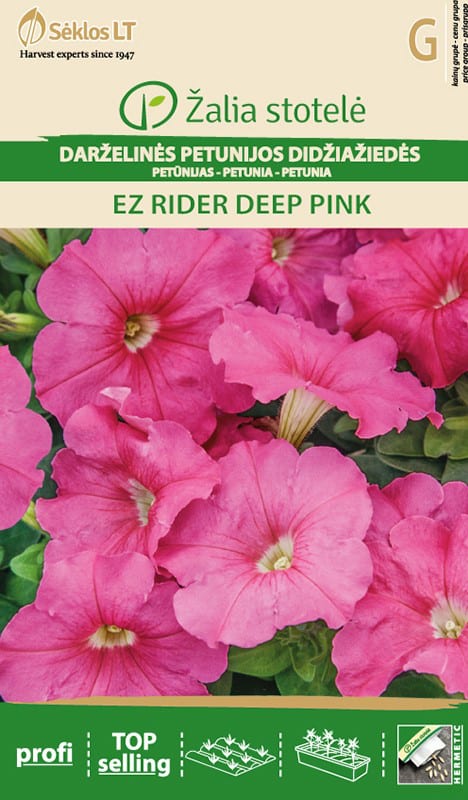 Petuunia "Ez Rider Deep Pink"