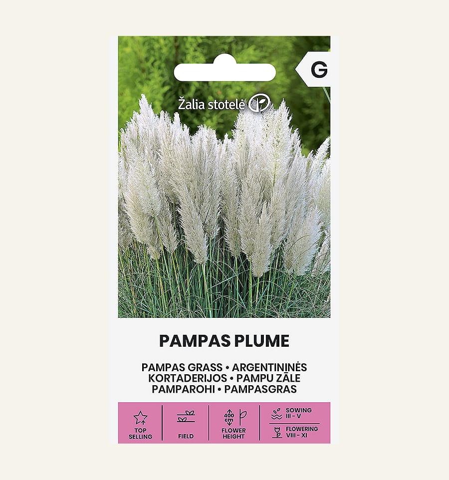 Argentiina pamparohi valge