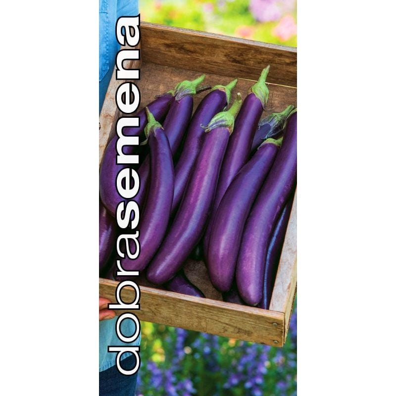 Baklažaan "Violet Knight" F1