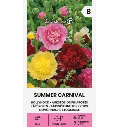 Aed-tokkroos segu "Summer Carnival"