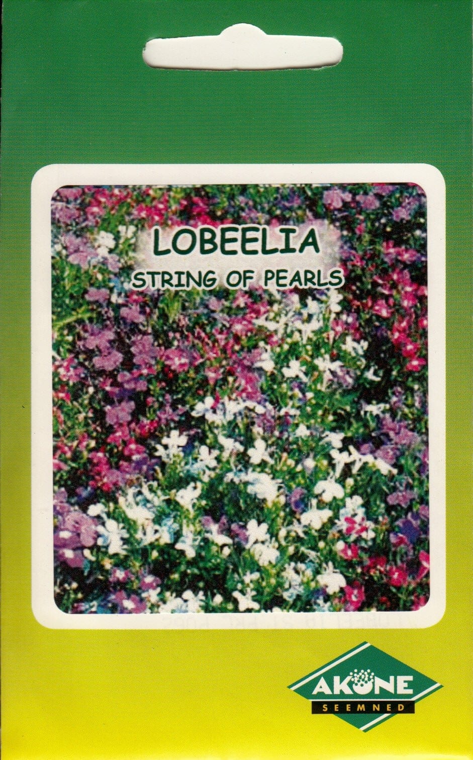 Lobeelia "String of Pearls"