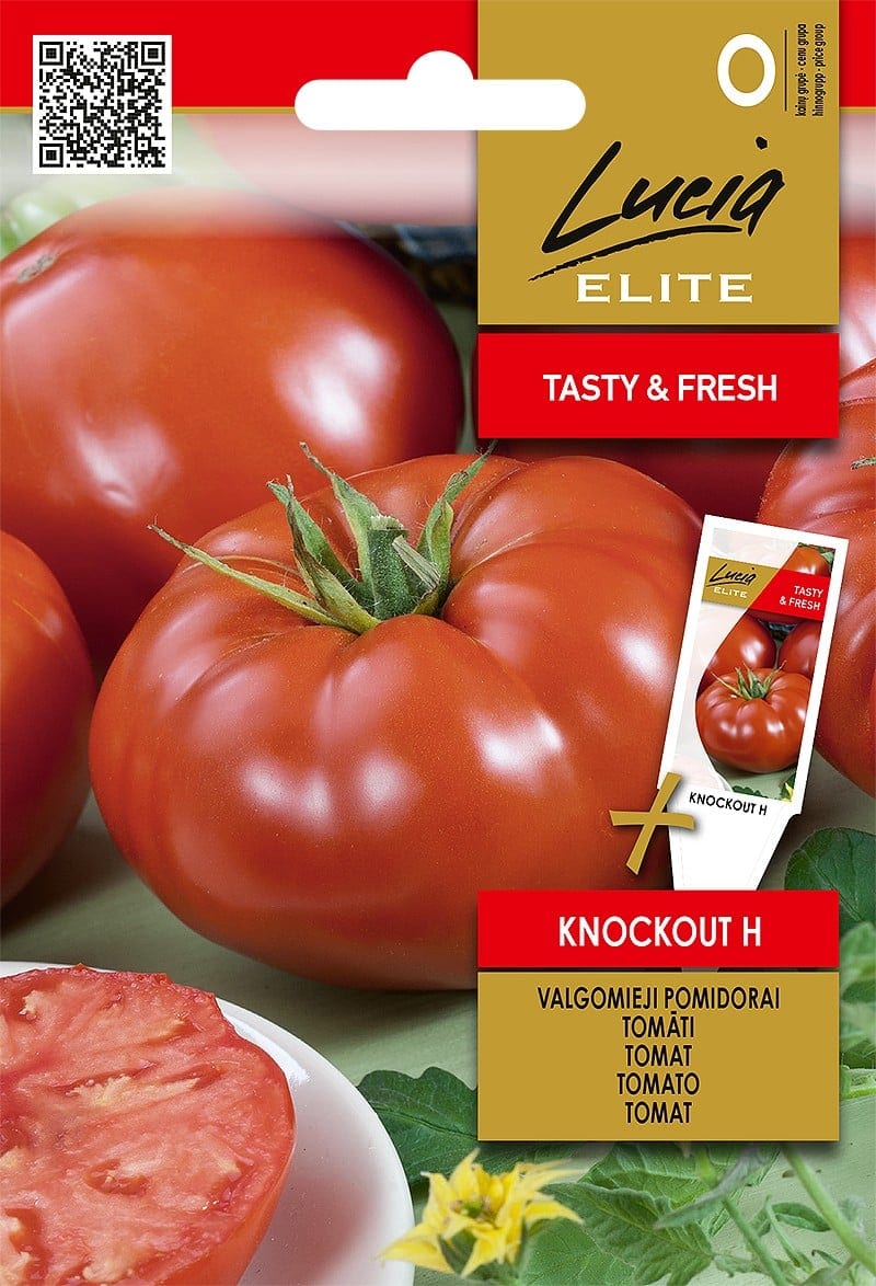 Tomat "Knockout" F1