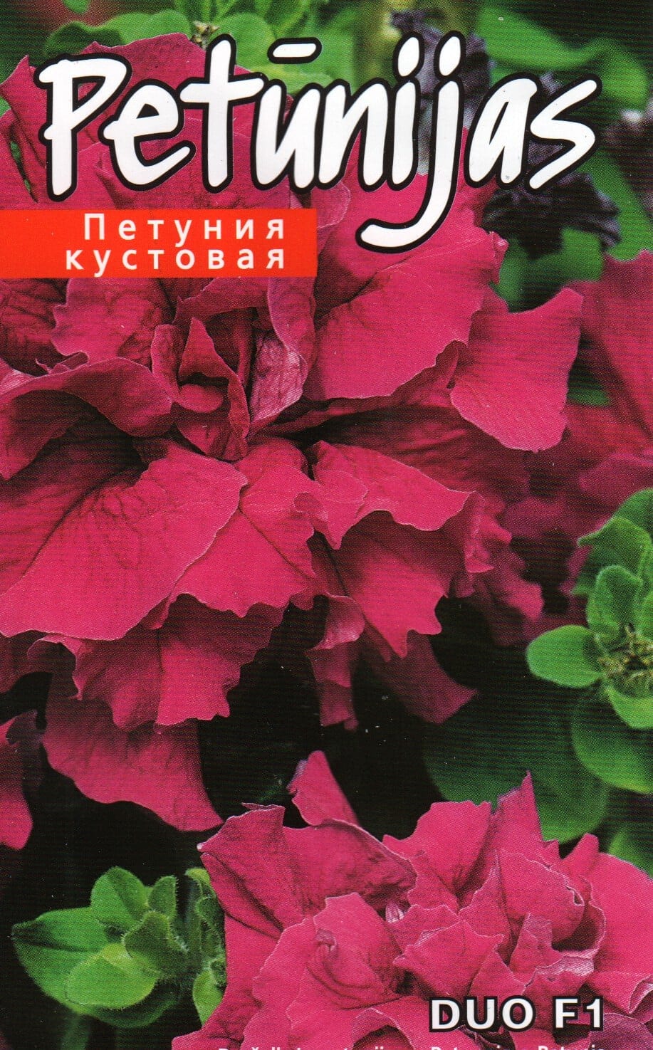 Petuunia "Duo Burgundy" F1