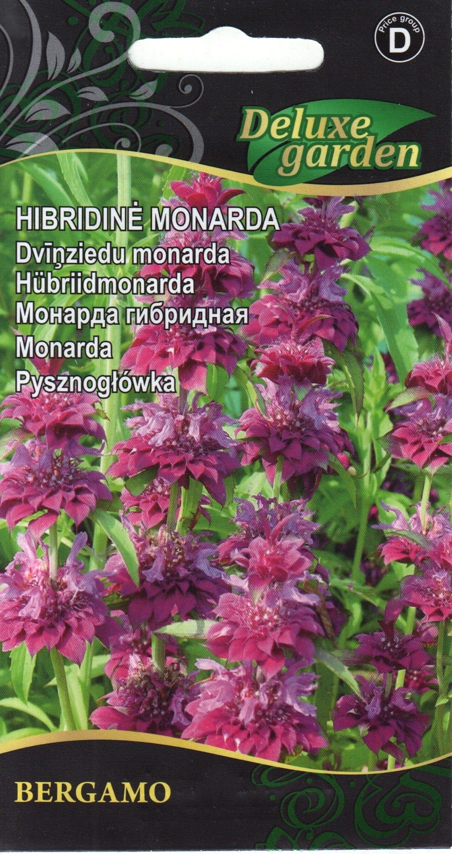 Hübriidmonarda "Bergamo"