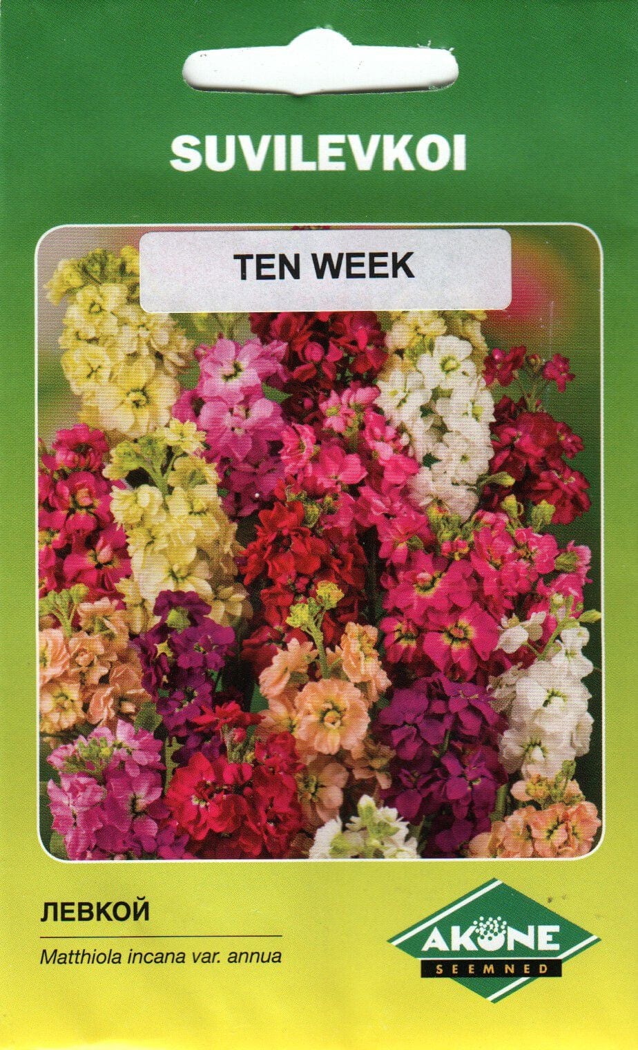 Levkoi madal segu "Ten Week"