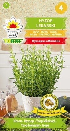 Harilik iisop