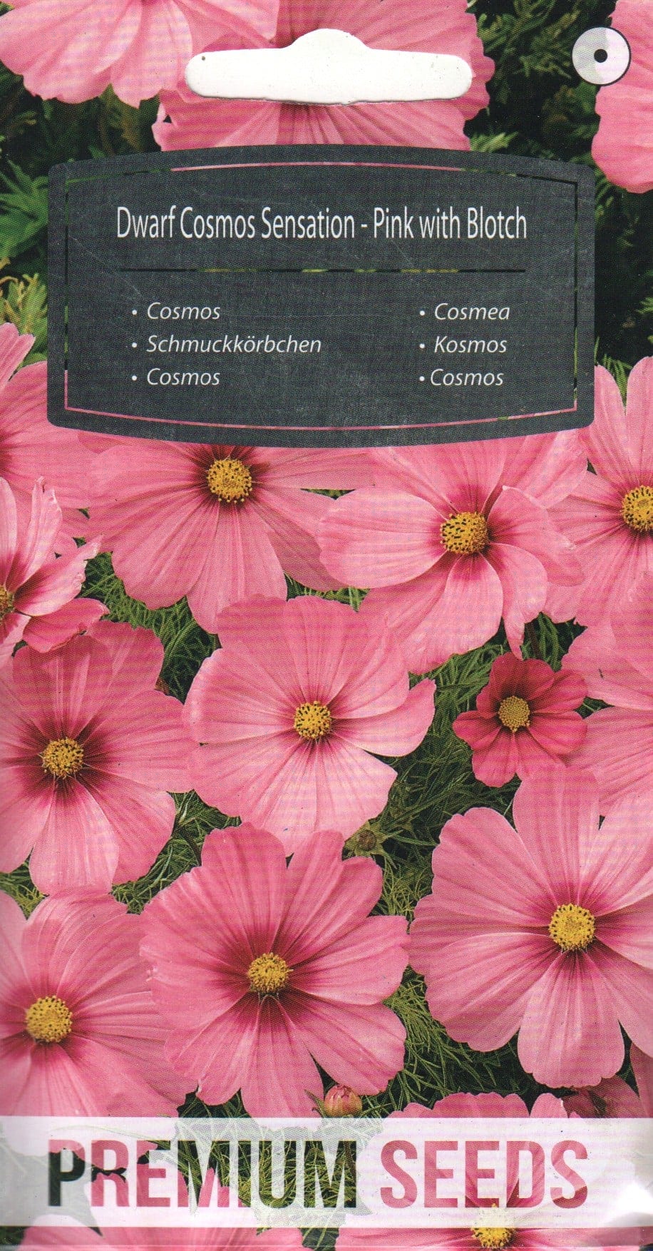 Kosmos "Dwarf Sensation Pink with Blotch"