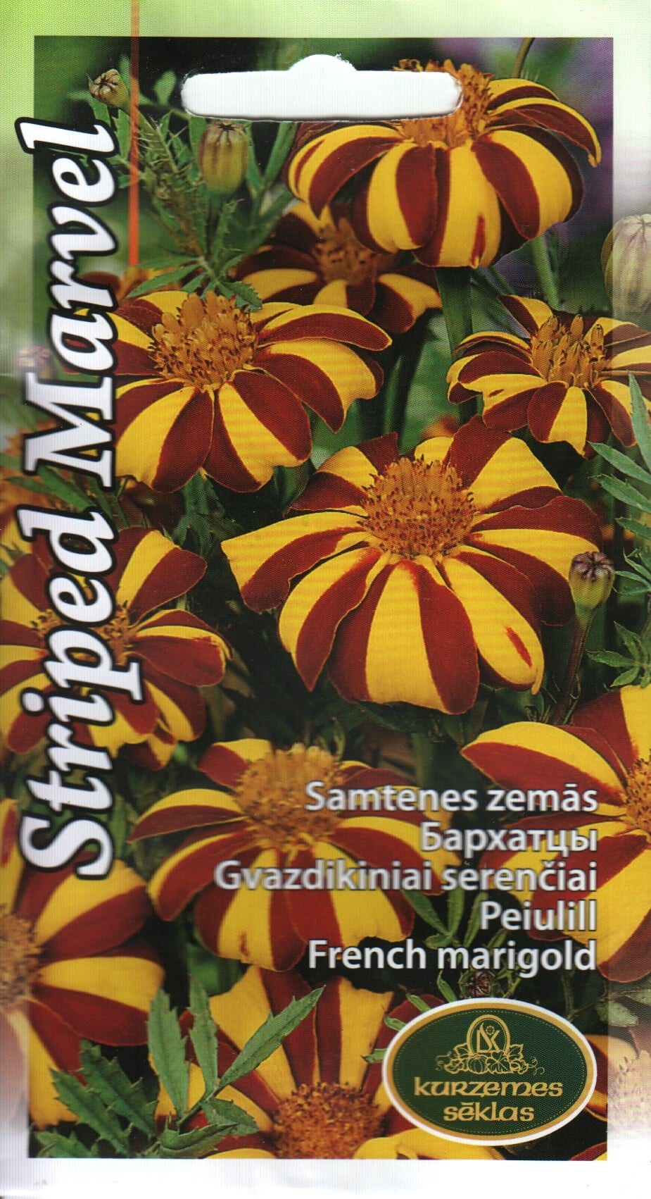 Peiulill "Striped Marvel"