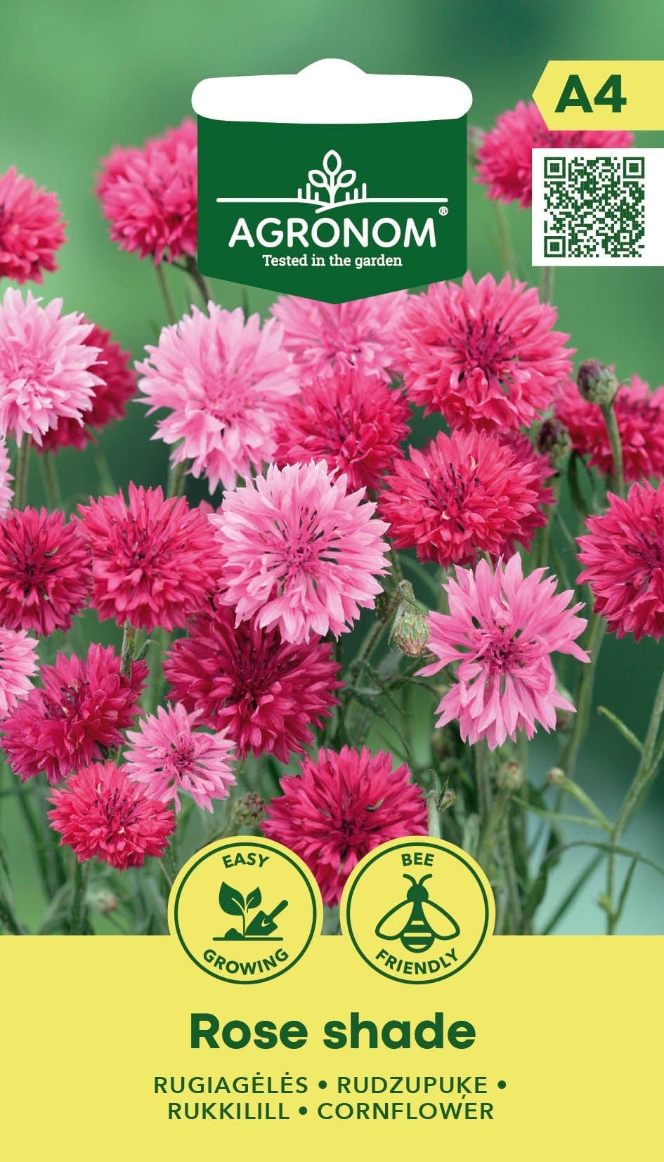 Rukkilill "Rose Shade"