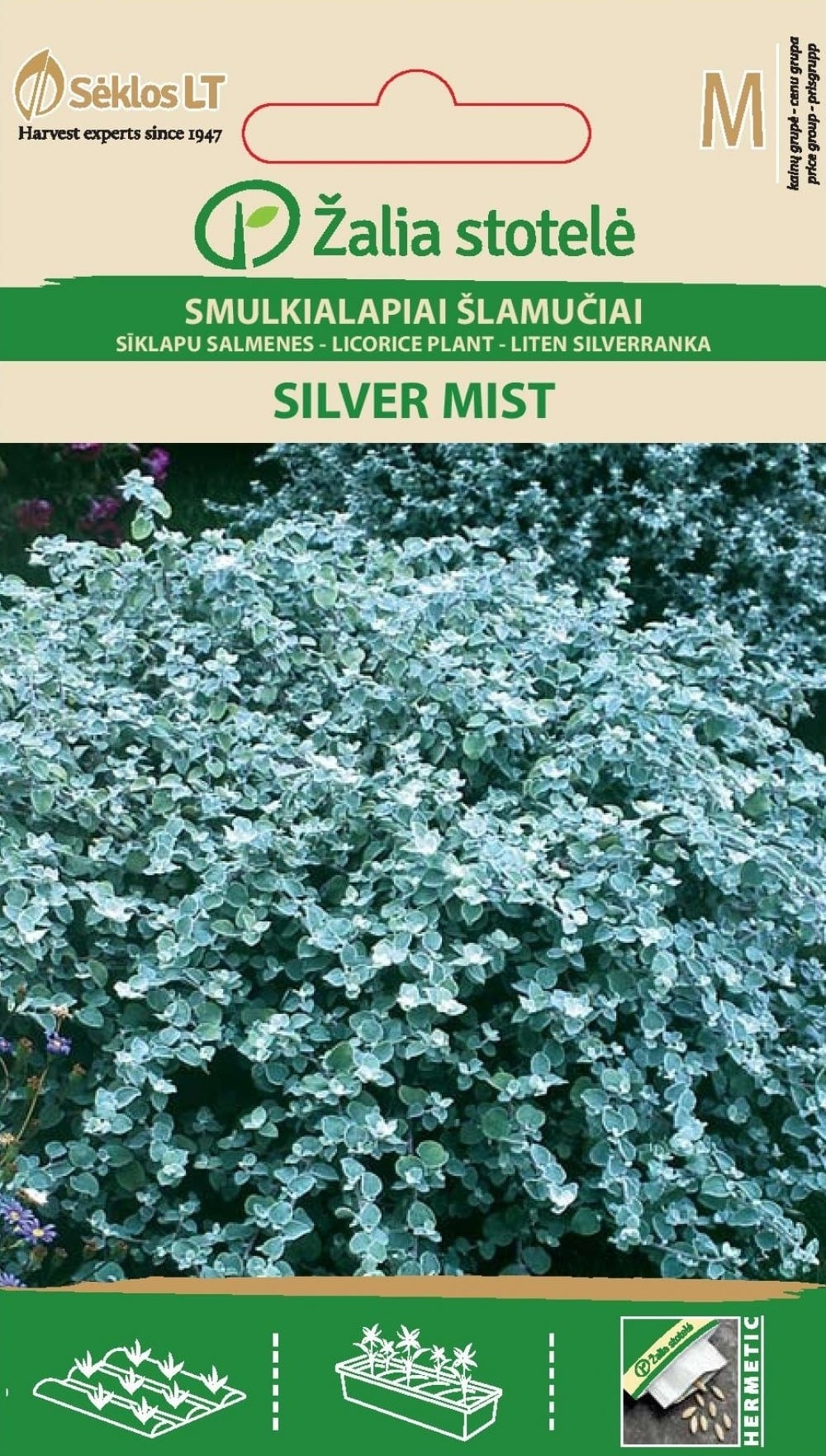 Ahtalehine käokuld "Silver Mist"