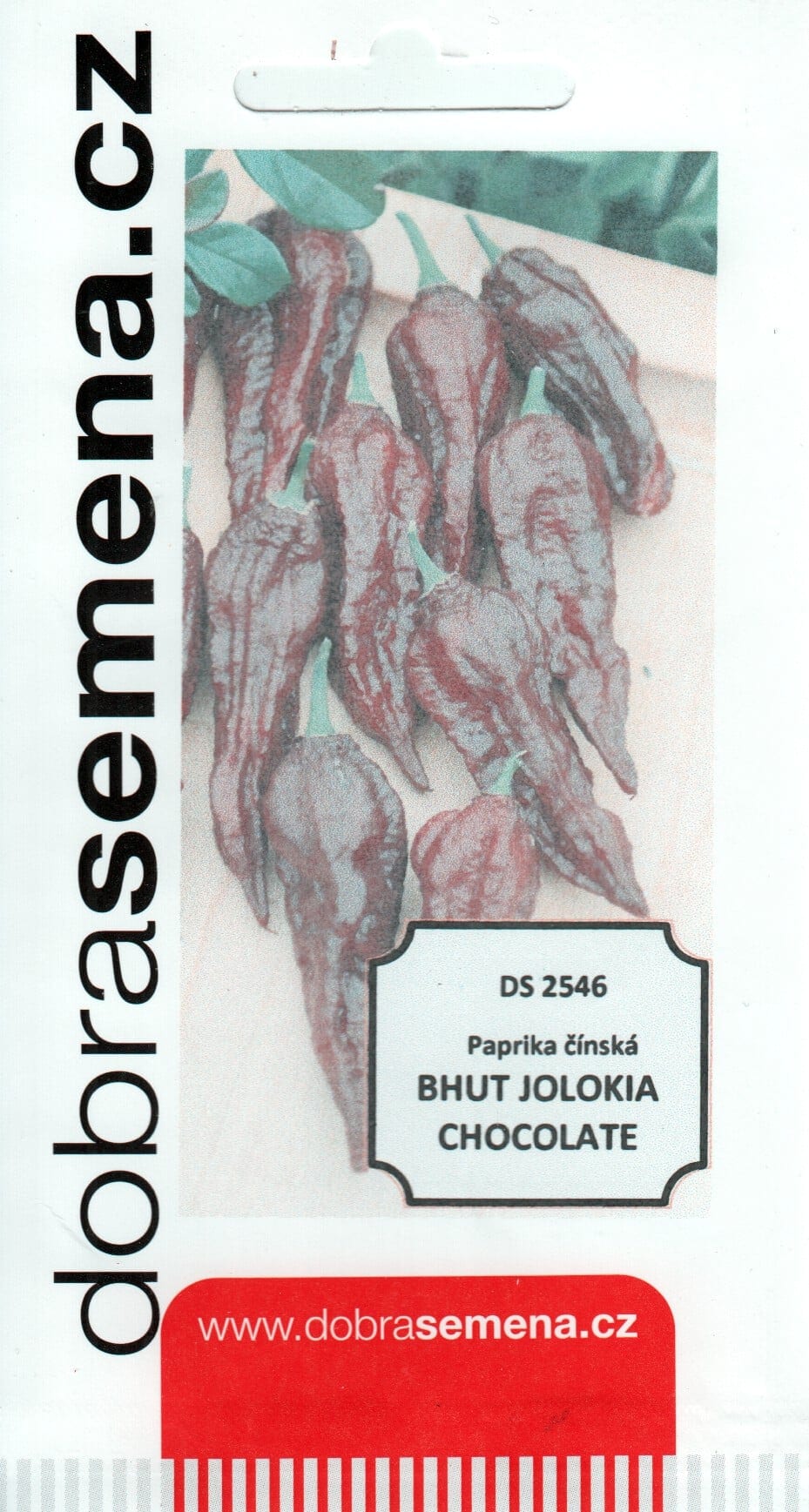 Kariibi paprika "Bhut Jolokia Chocolate"