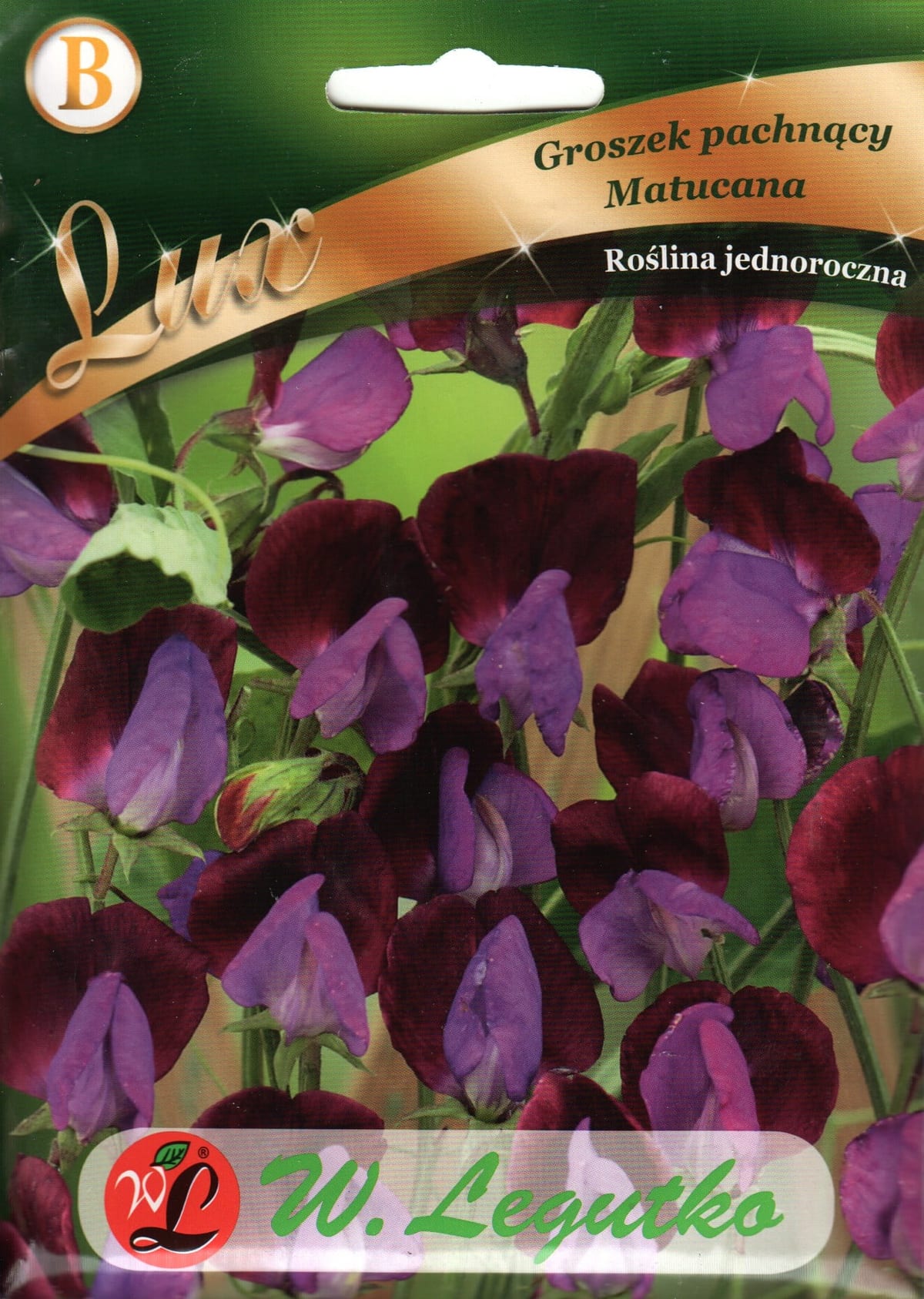 Lõhnav lillhernes "Matucana"