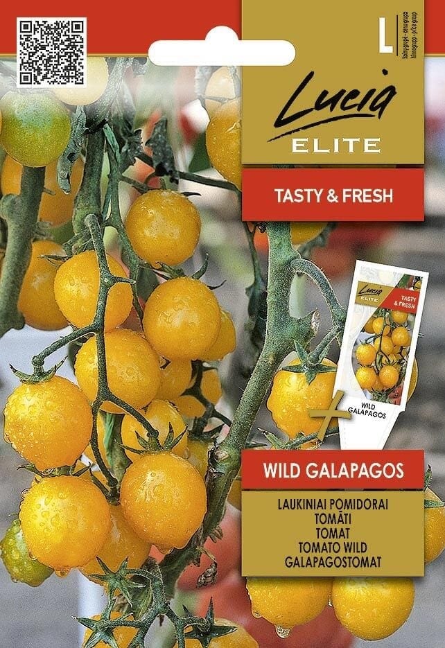 Metsik tomat " Wild Galapagos" Wild tomato