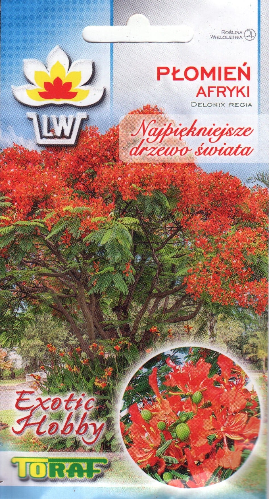 Kuning-leekpuu