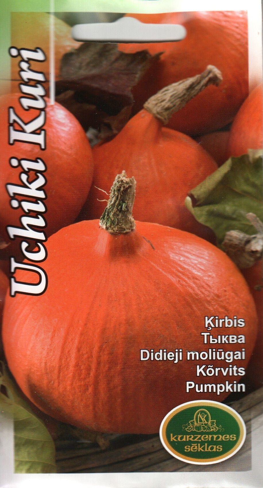 Hokkaido kõrvits "Uchiki Kuri"