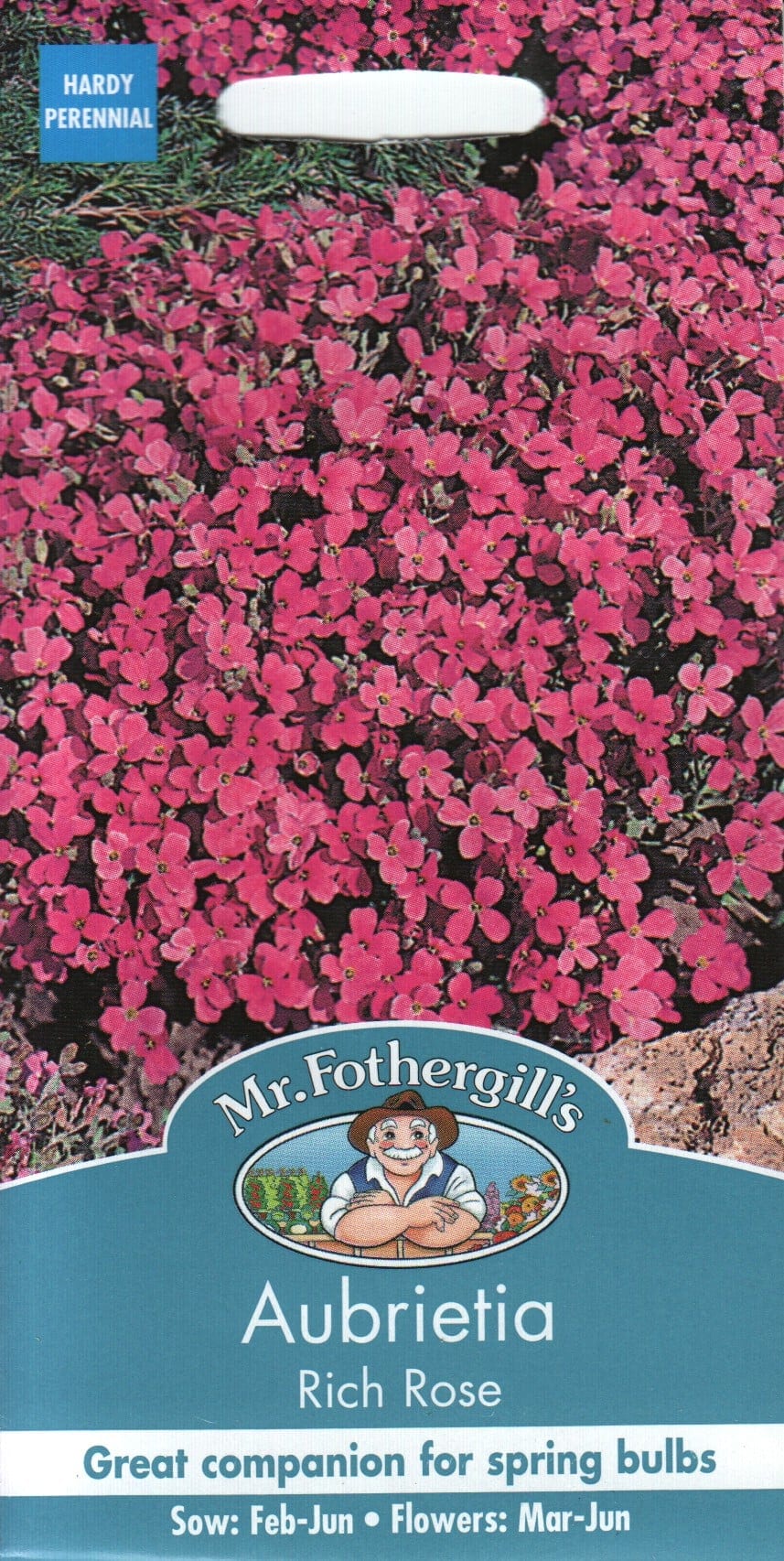 Aed-aubrieeta "Rich Rose"