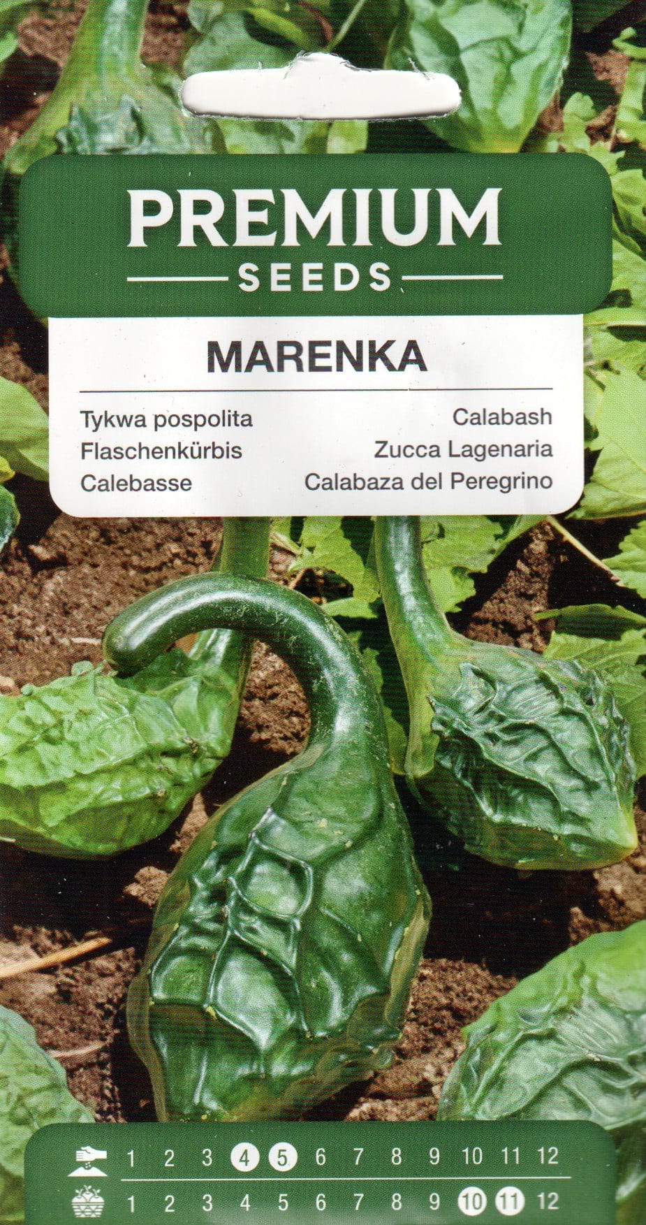 Harilik pudelkõrvits "Marenka"