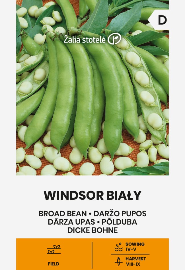 Põlduba "Windsor Bialy"