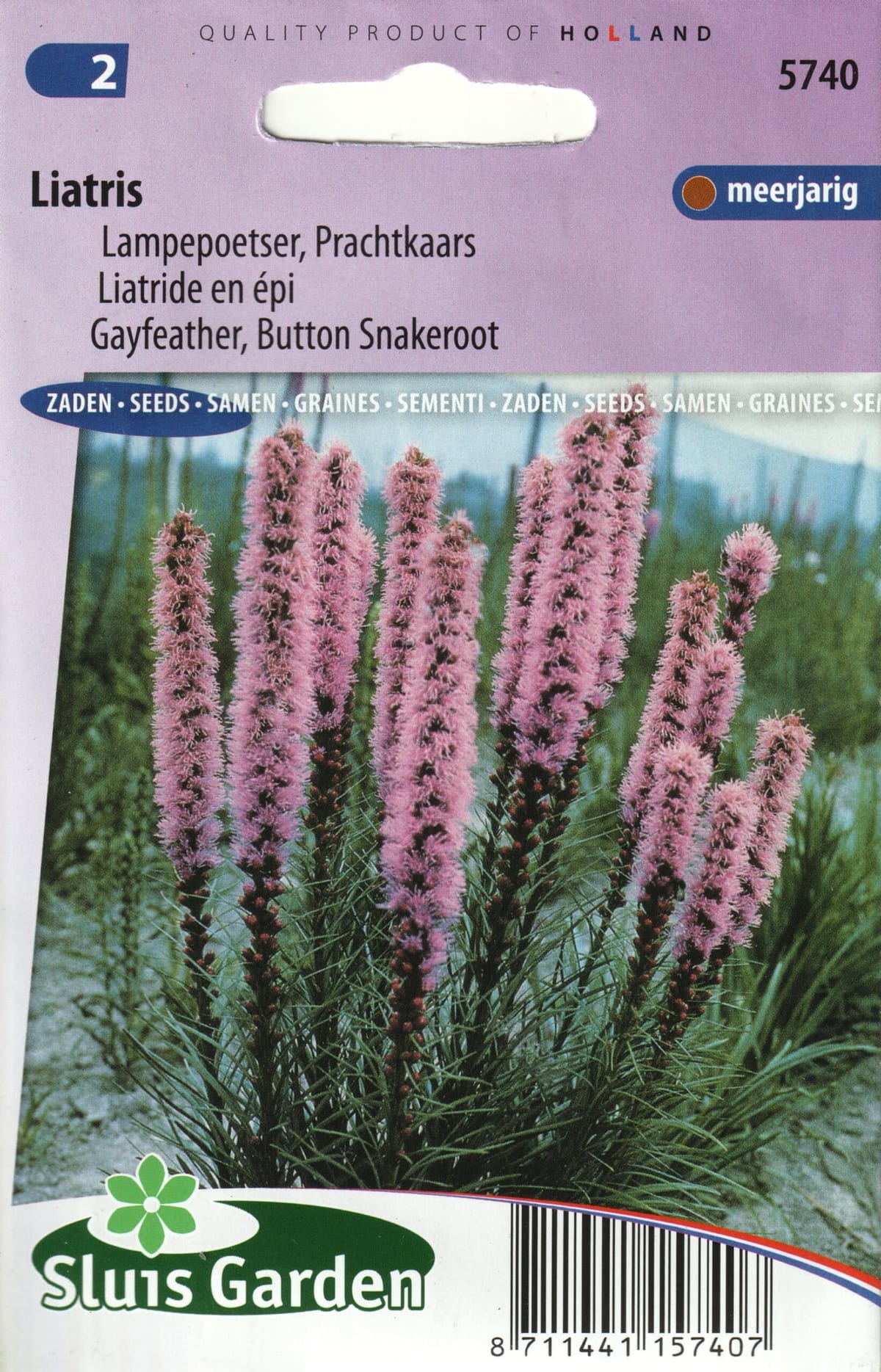Tähkjas liatris