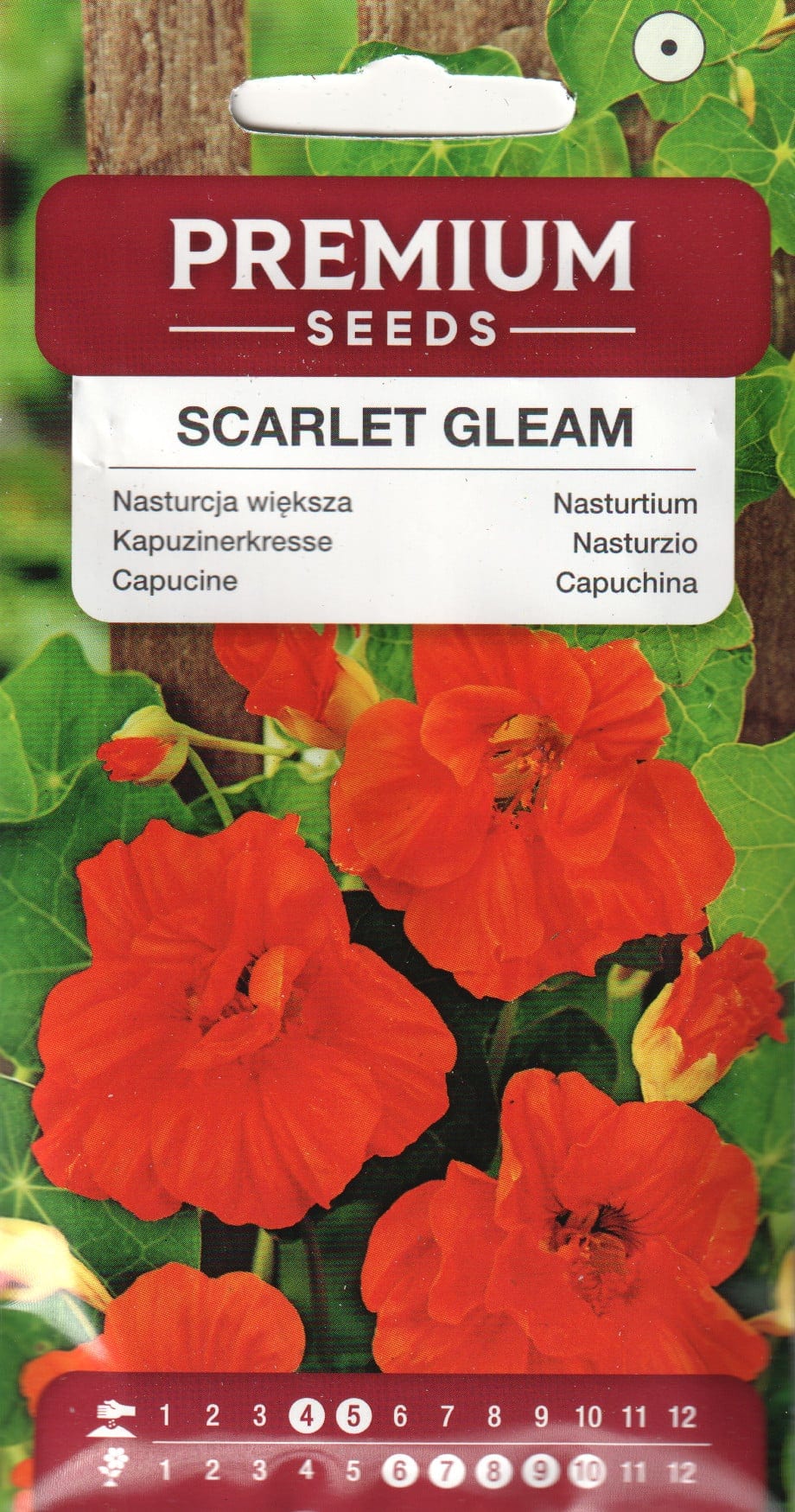 Suur mungalill "Scarlet Gleam"
