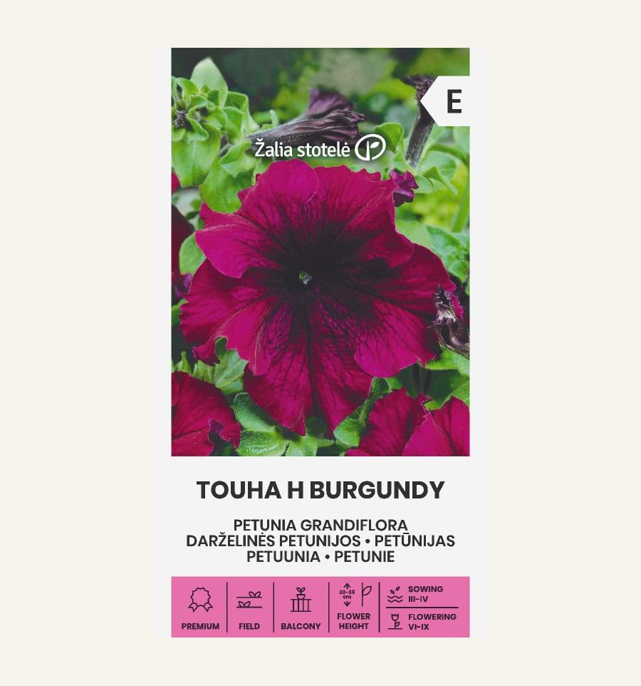 Petuunia "Touha Burgundy" F1
