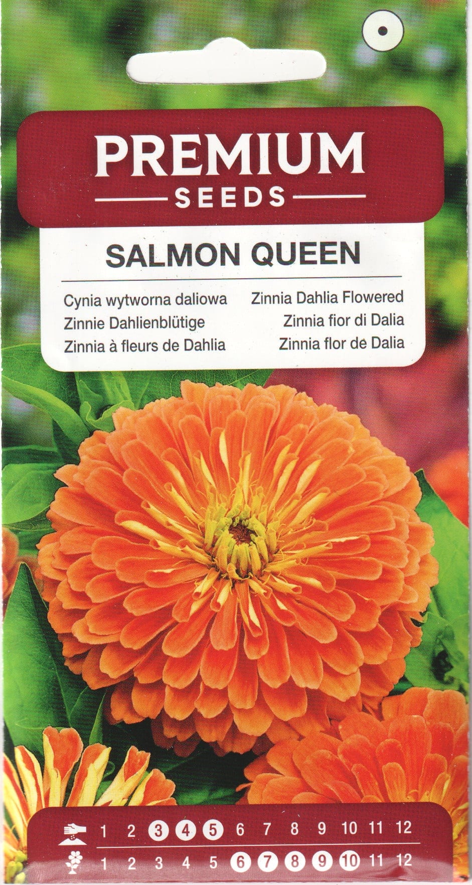 Harilik pruudisõlg "Salmon Queen"