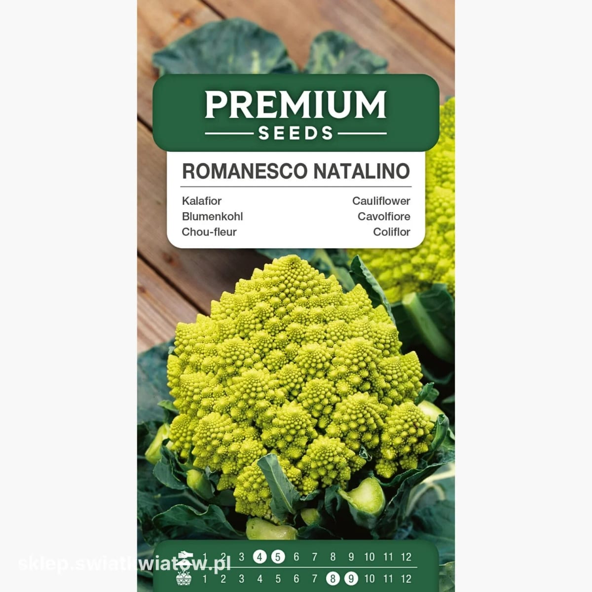 Romaani lillkapsas "Romanesco Natalino"