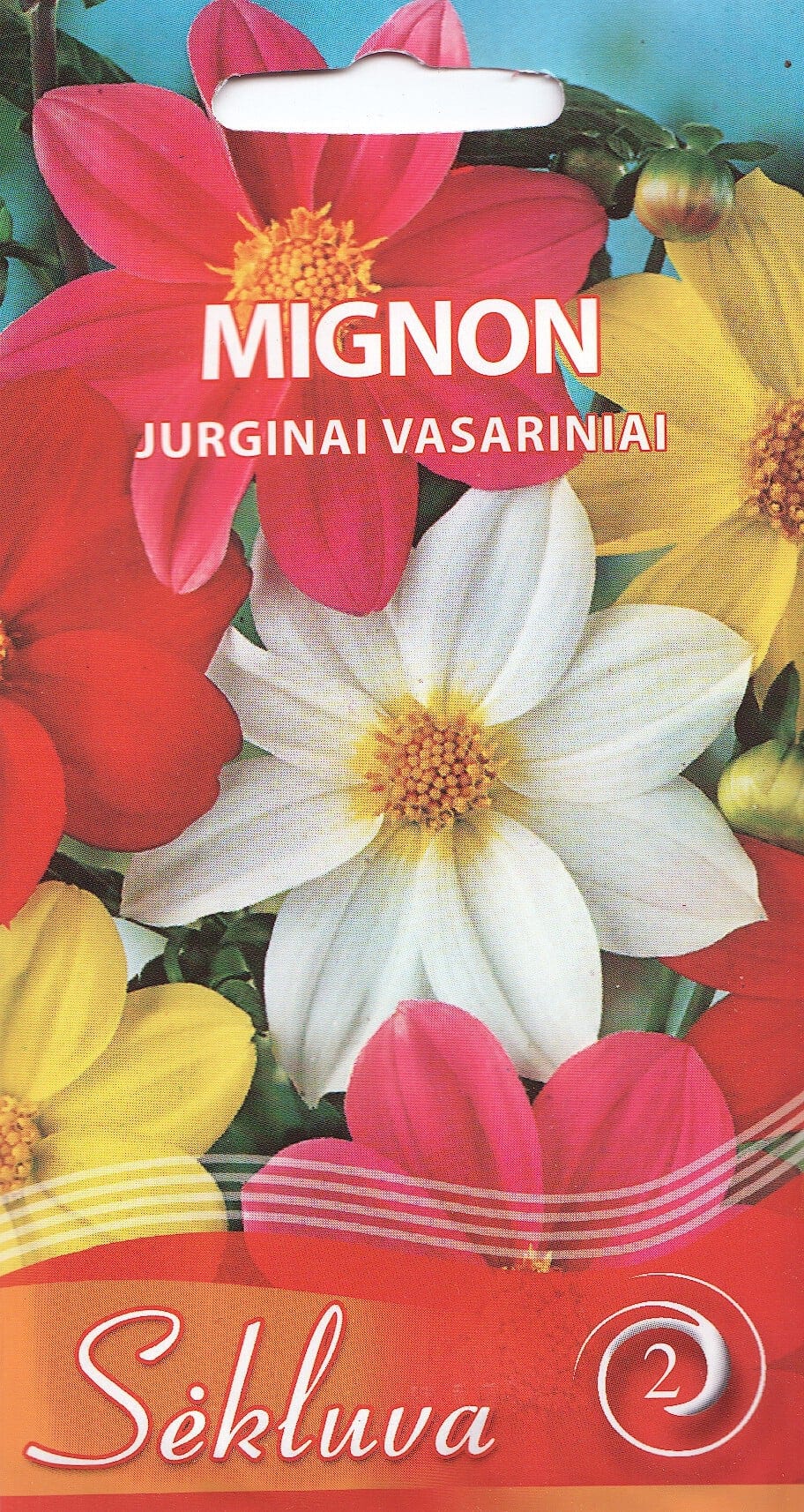 Aed-daalia "Mignon"