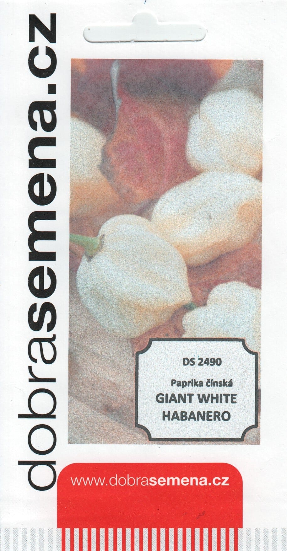 Kariibi paprika "Giant White Habanero"
