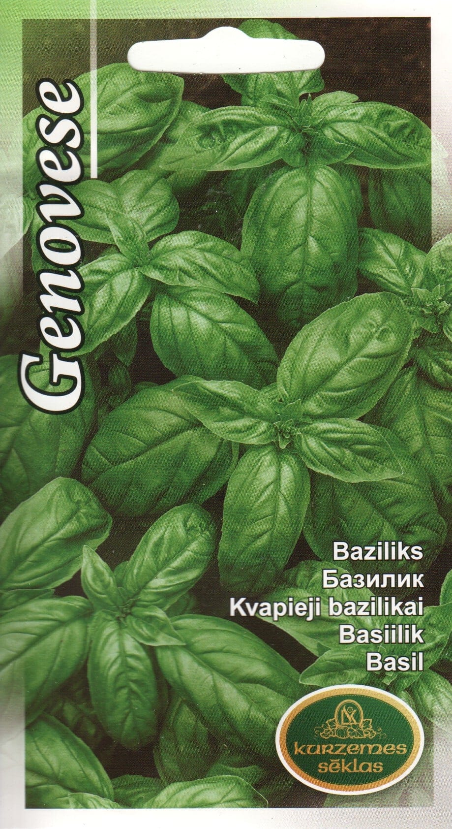 Basiilik "Italiano Classico" / "Genovese"