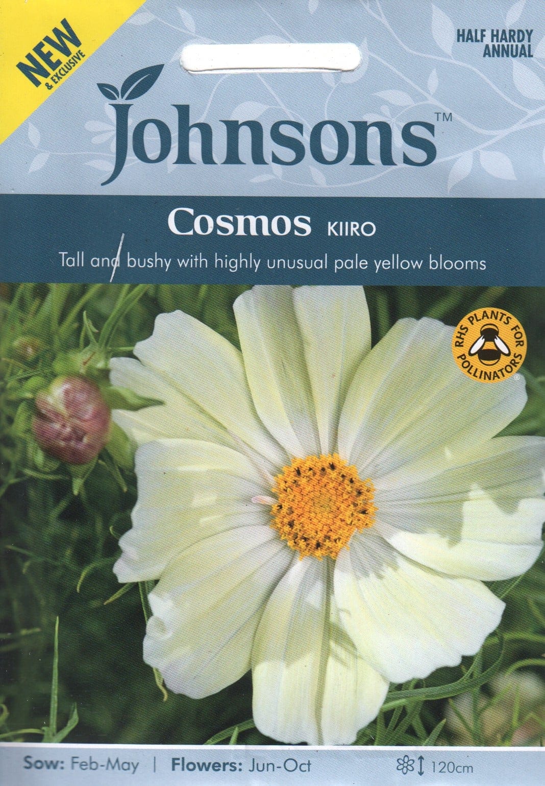 Kosmos "Kiiro"