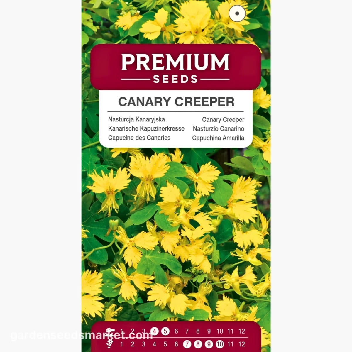 Lõhis-mungalill "Canary Creeper"