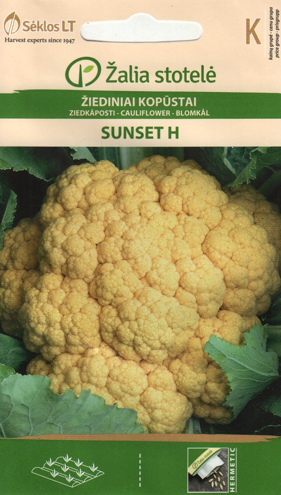 Lillkapsas "Sunset" F1