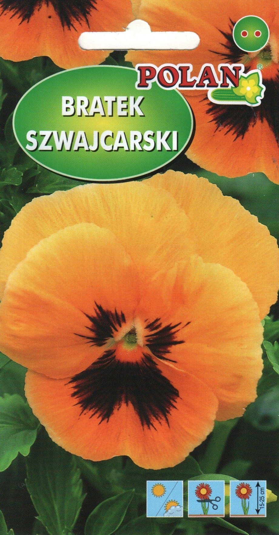 Võõrasema "Swiss Pansy"