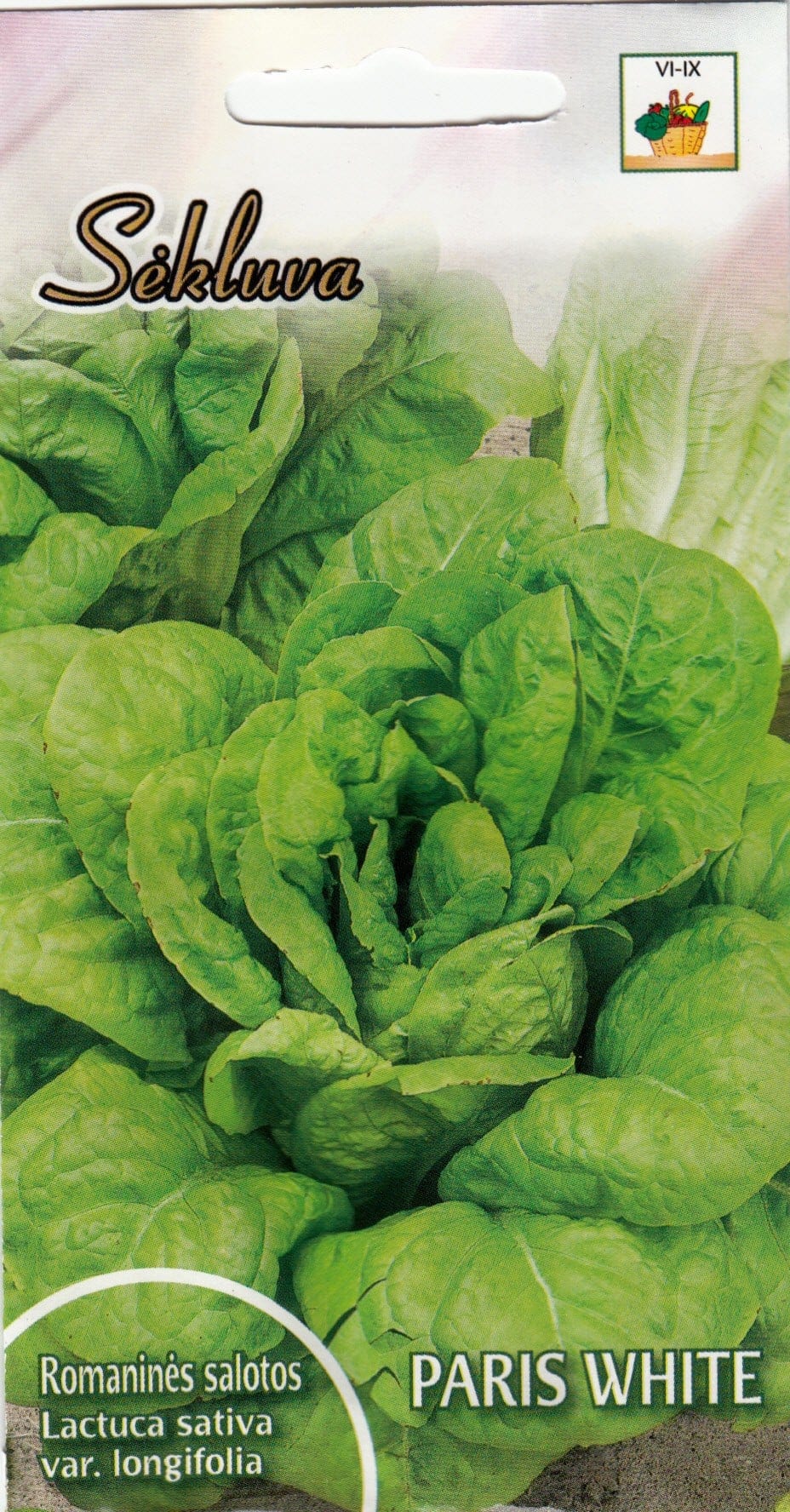 Rooma salat "Paris White"