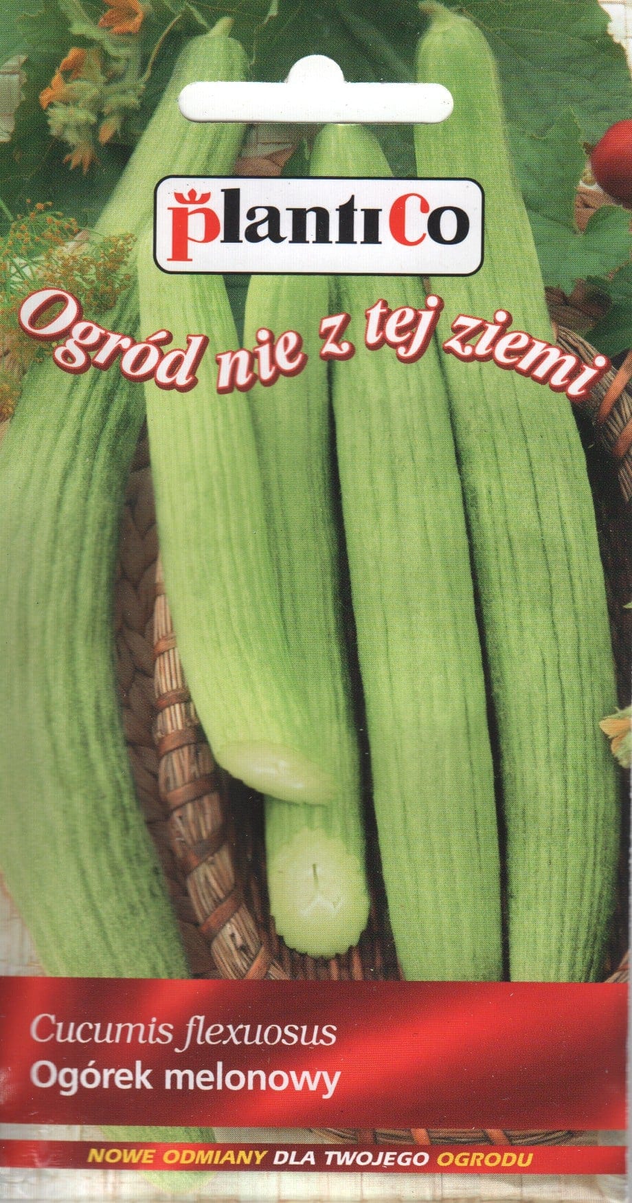Kurk-melon "Fegouz"