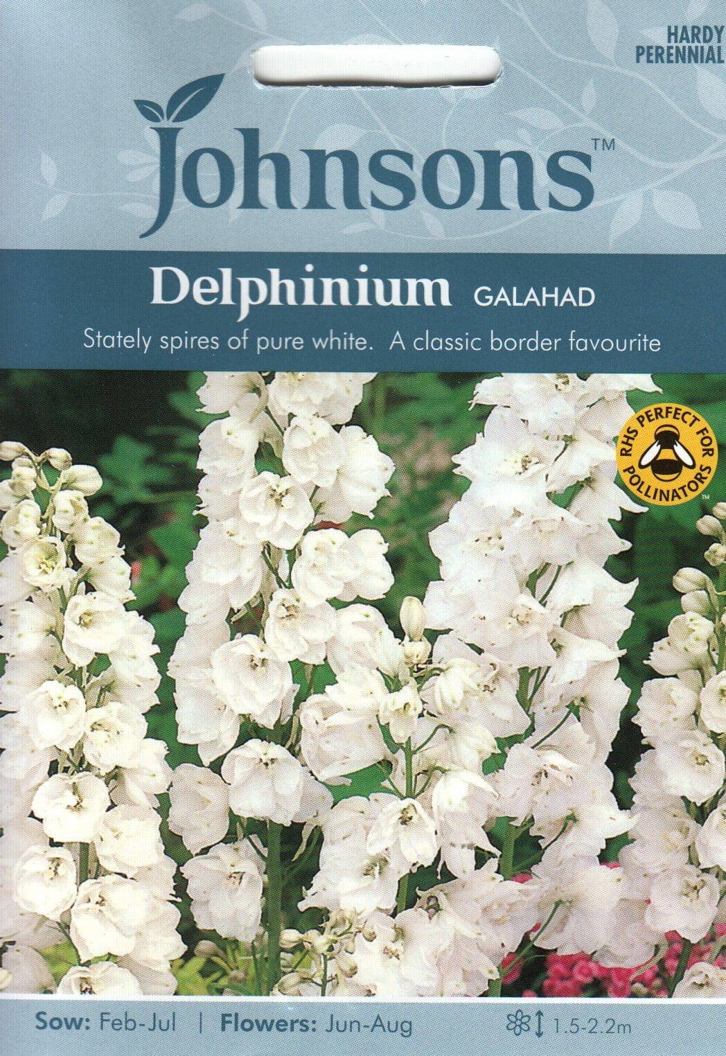 Aed-kukekannus "Galahad"
