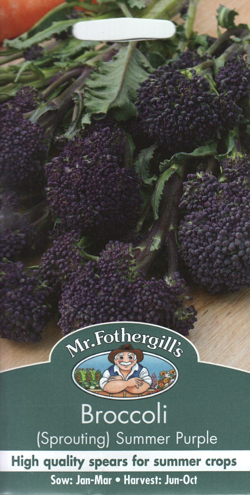 Spargelkapsas "Summer Purple"