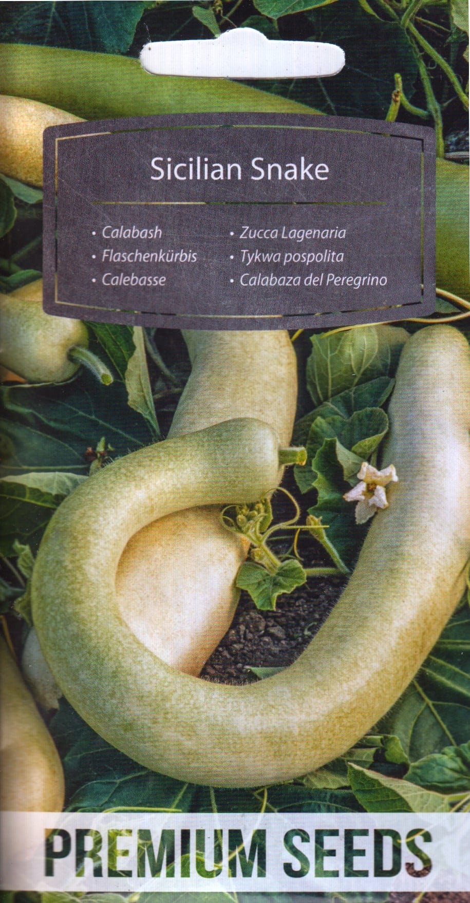 Dekoratiivkõrvits "Sicilian Snake"