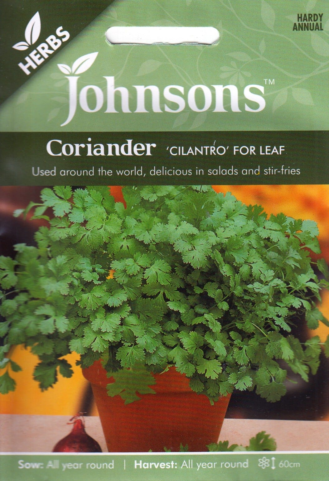 Aed-koriander "Cilantro"