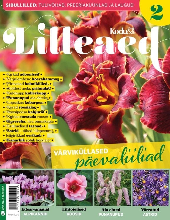 "Lilleaed 2"