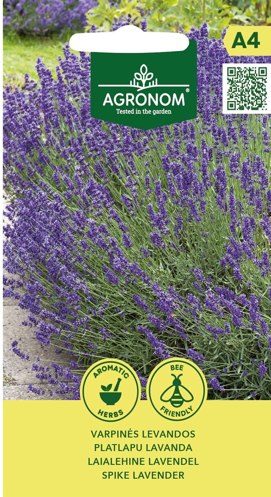 Laialehine lavendel "Spike Lavender"