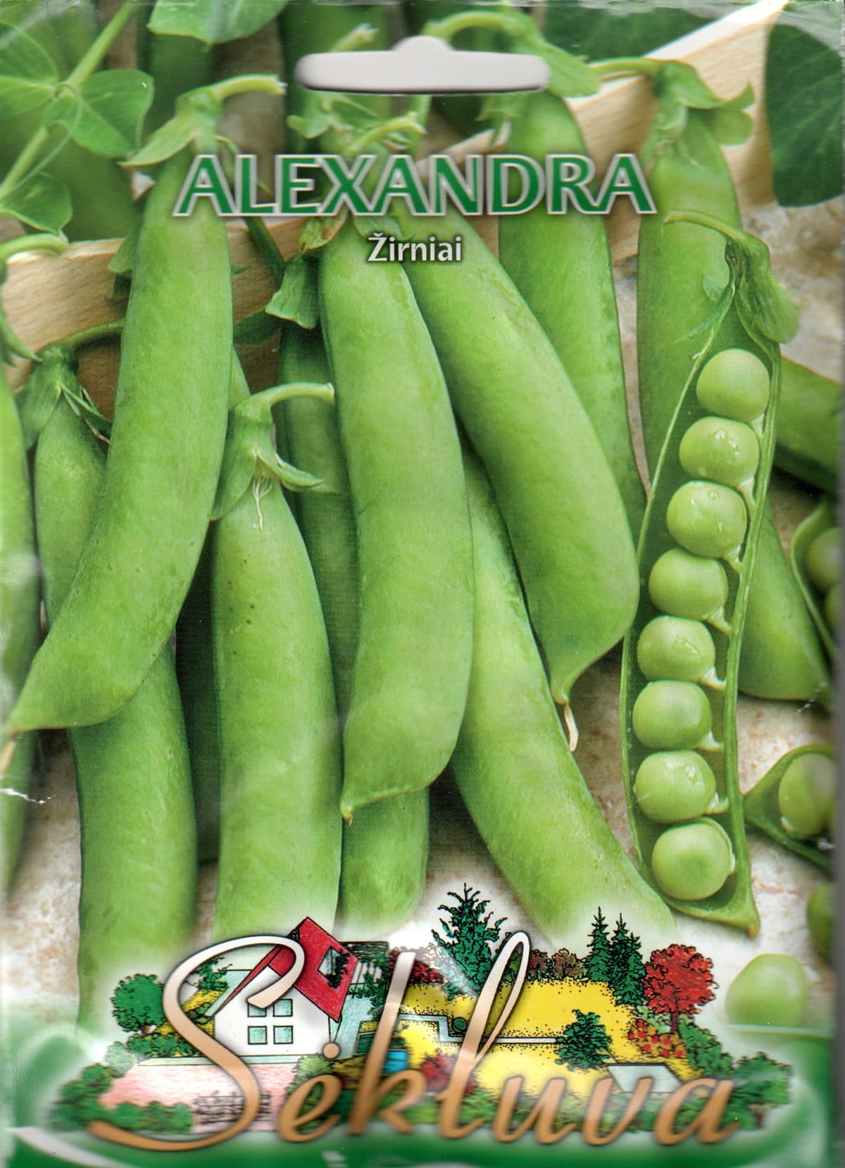 Aedhernes "Alexandra"