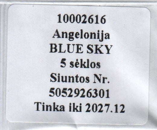 Inglilill "Blue Sky"