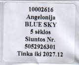 Pilt 2