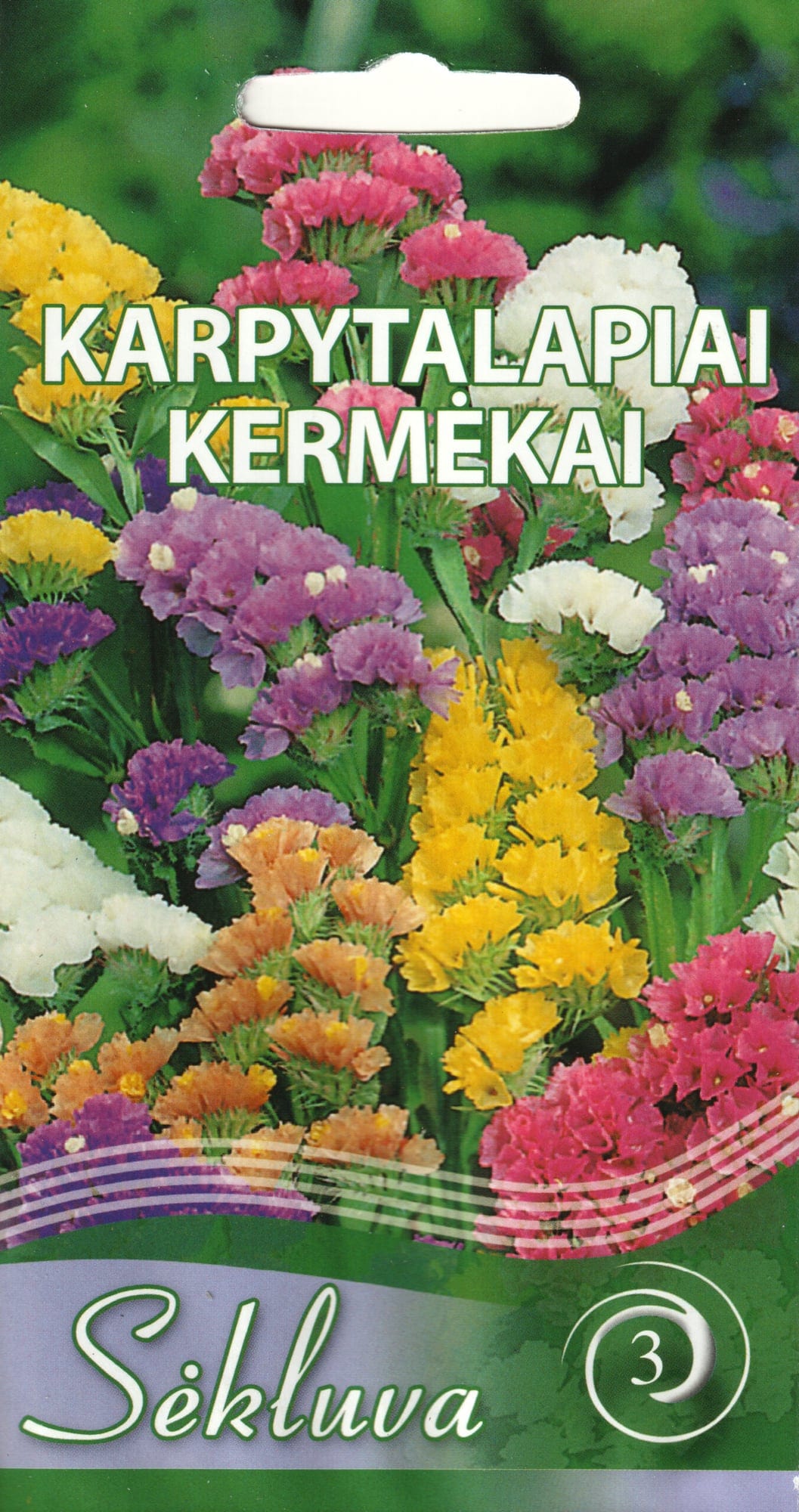 Kääruline parkjuur segu