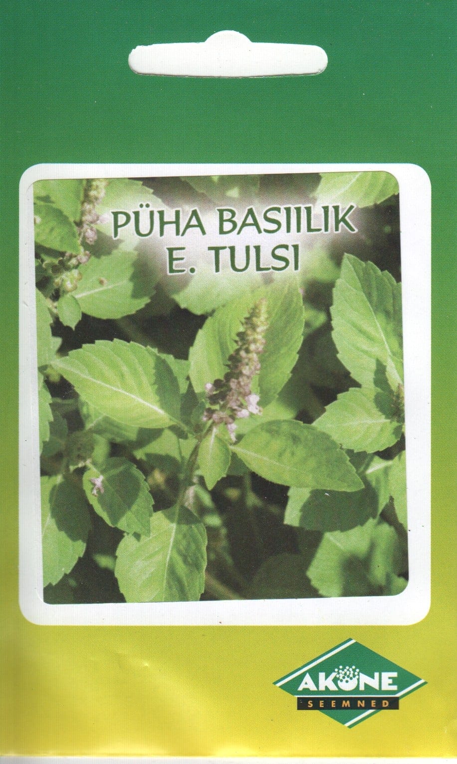 Püha basiilik "Holy Green"